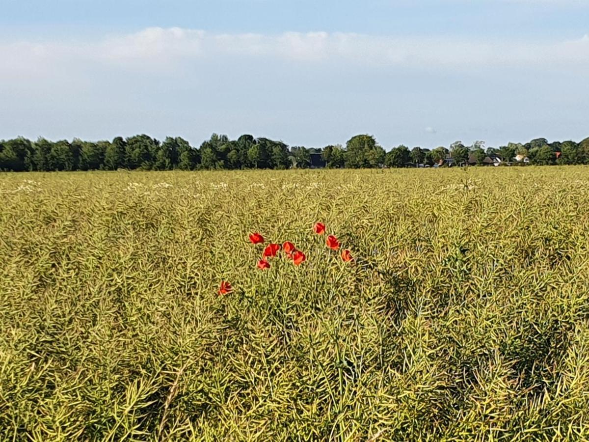 Moewennest Tossens Exteriör bild