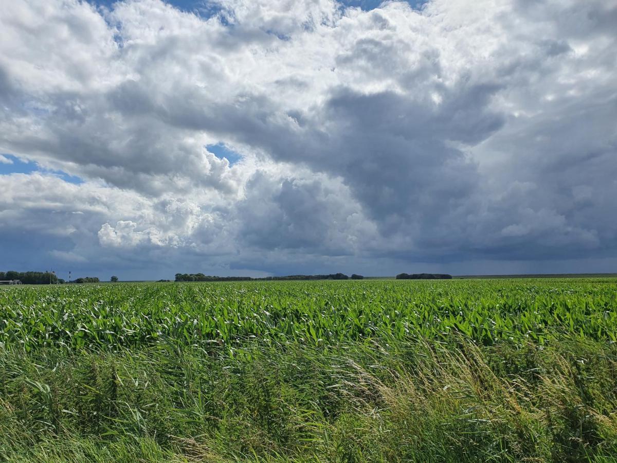 Moewennest Tossens Exteriör bild
