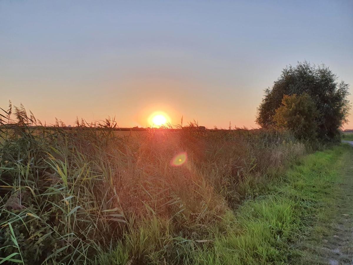 Moewennest Tossens Exteriör bild