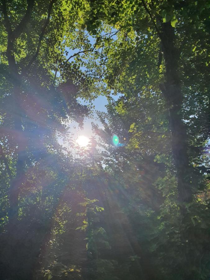 Moewennest Tossens Exteriör bild